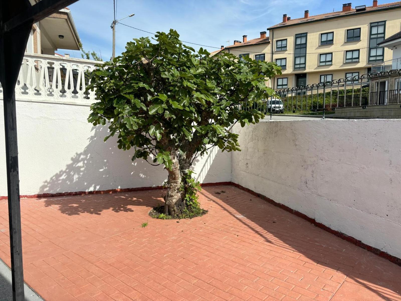 Casa De La Nina,Chalet Familiar Con Gran Terraza Фістерра Екстер'єр фото